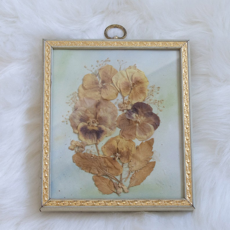 Vintage Dried Pressed Flowers in Ornate Frame - Etsy