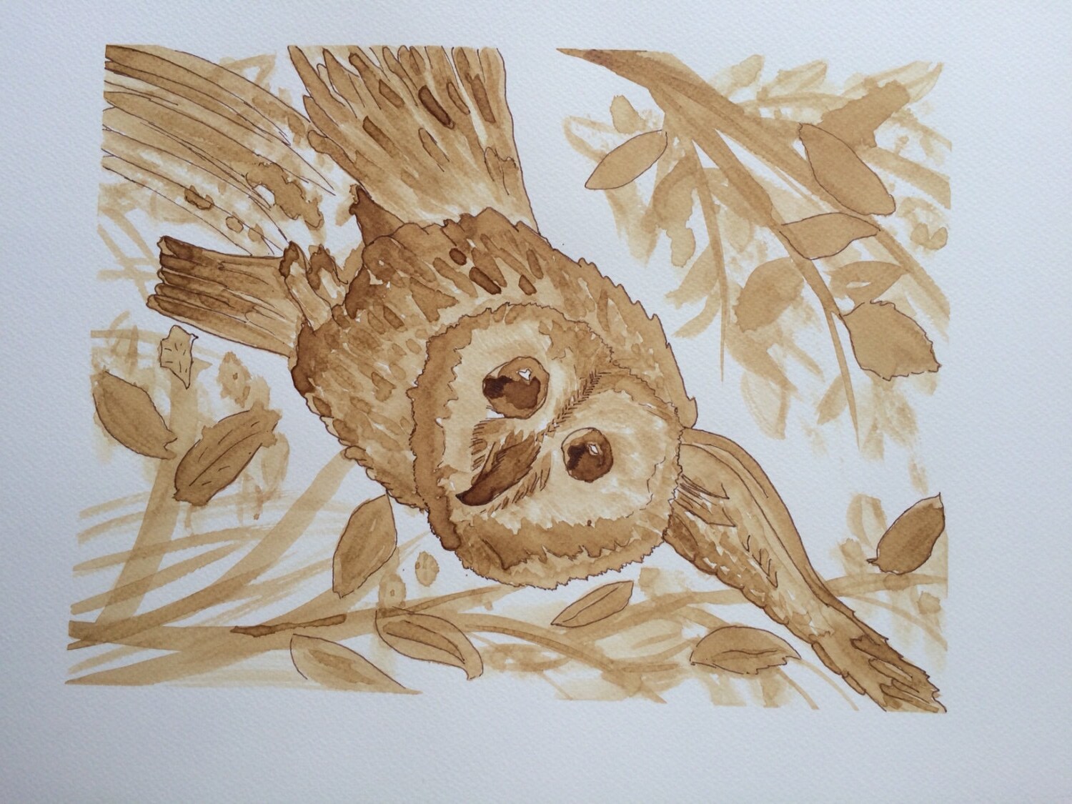 Owl in Flight Coffee Art Original  Coffee and Ink on Canvas Artist's Paper