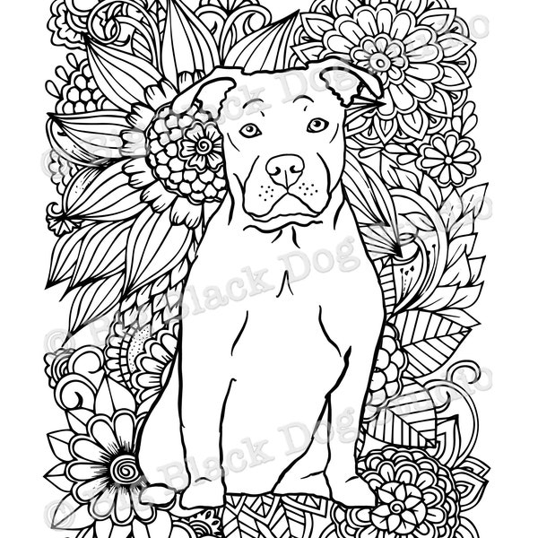 Pitbull Coloring Page (digital download) Pibble Pittie Staffy AmStaff Staffie