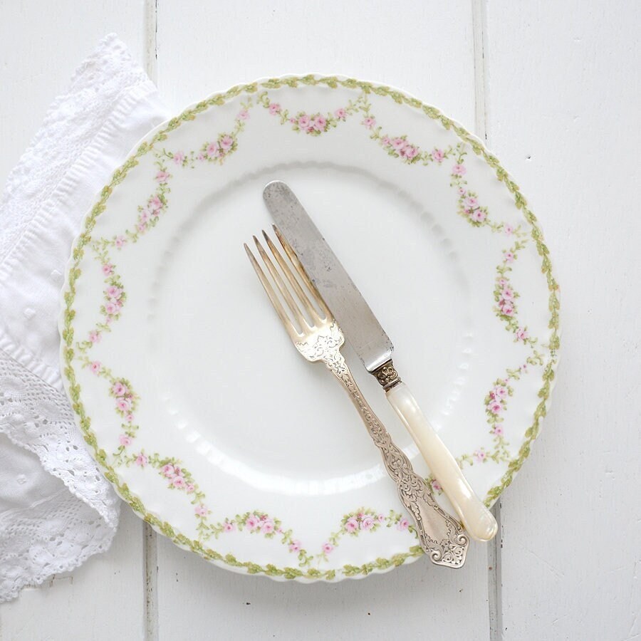 Exquise Paire d'assiettes Vintage Haviland-Limoges