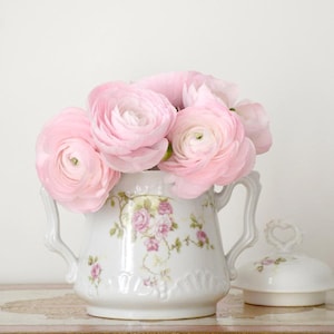 Vintage French Canister