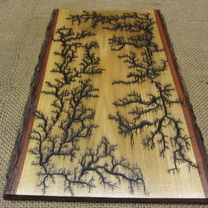 Fractal Wood Burning, Wall Décor, Art work