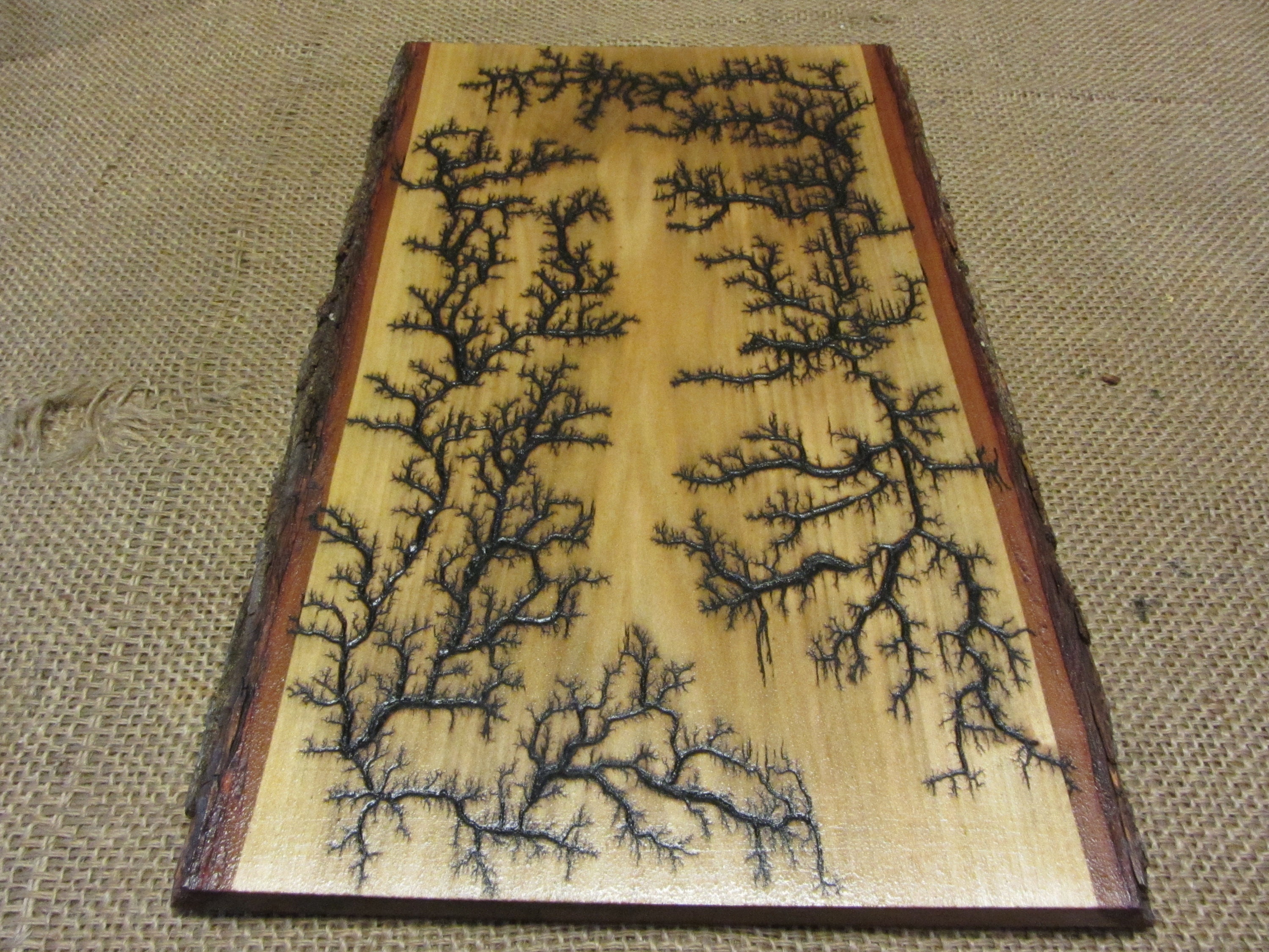 High Voltage Wood Slab Art, Electrocuted Burned Wall Hangings, Fractal