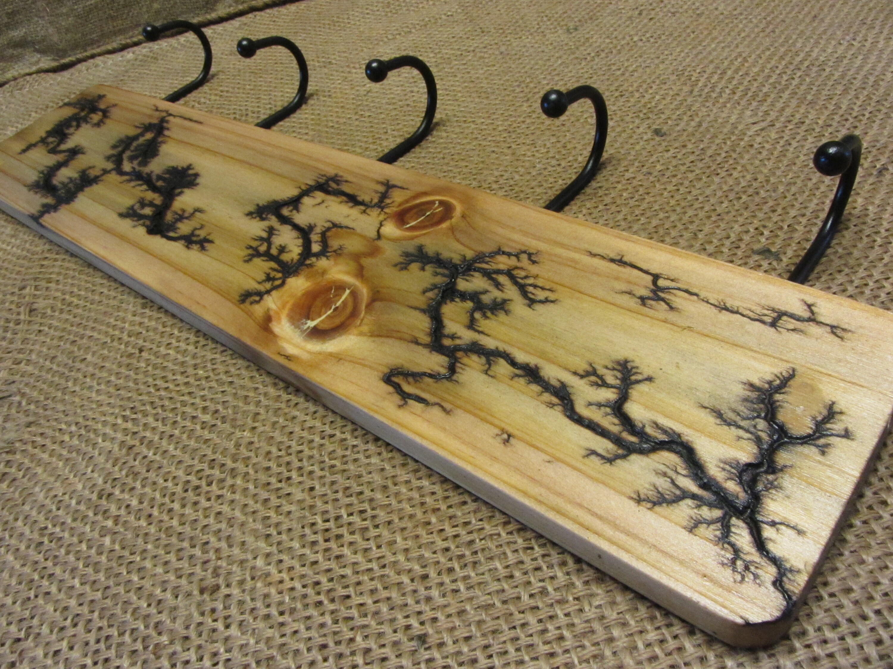 High Voltage Wood Coat, Hat, Key Rack Art, Electrocuted Burned Wall