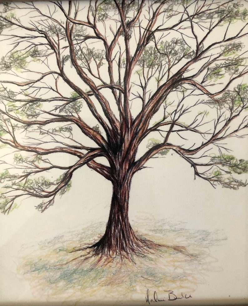 Colored pencil Tree with wood frame