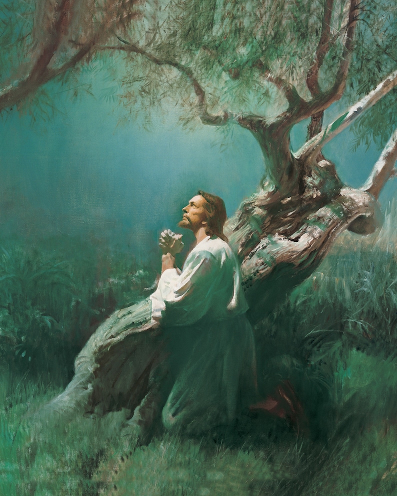 Jesus Christ Praying In The Garden of Gethsemane Christian image 0