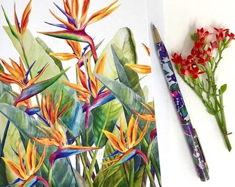 Strelitzia (Bird of Paradise) Botanical Card featuring original artwork by Australian artist, Julie McEnerny