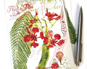 Poinciana Greeting Card from original botanical artwork by Australian Artist Julie McEnerny