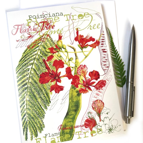 Poinciana Greeting Card from original botanical artwork by Australian Artist Julie McEnerny