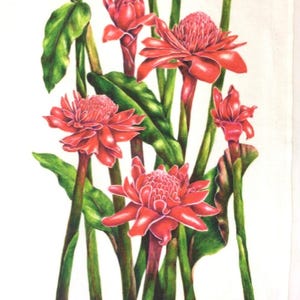 Linen tea towel, Tropical Torch Ginger botanical art by Australian artist & seller Julie McEnerny image 4