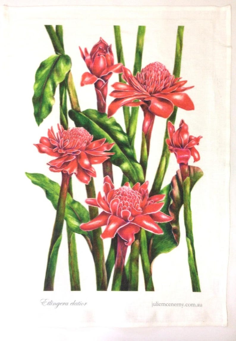 Linen tea towel, Tropical Torch Ginger botanical art by Australian artist & seller Julie McEnerny image 4