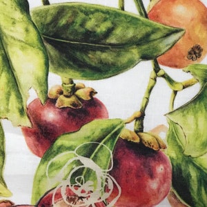 May include: A close-up of a white fabric with a watercolor illustration of mangosteen fruit and green leaves.