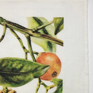 May include: A close-up of a white linen napkin with a printed design of a branch of mangosteen fruit with green leaves. The fruit is orange and red with a dark brown center.