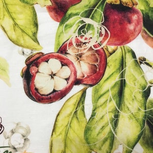 May include: A watercolor illustration of mangosteens with green leaves on a white background. The text "mangosteen" is written in cursive at the bottom of the image.