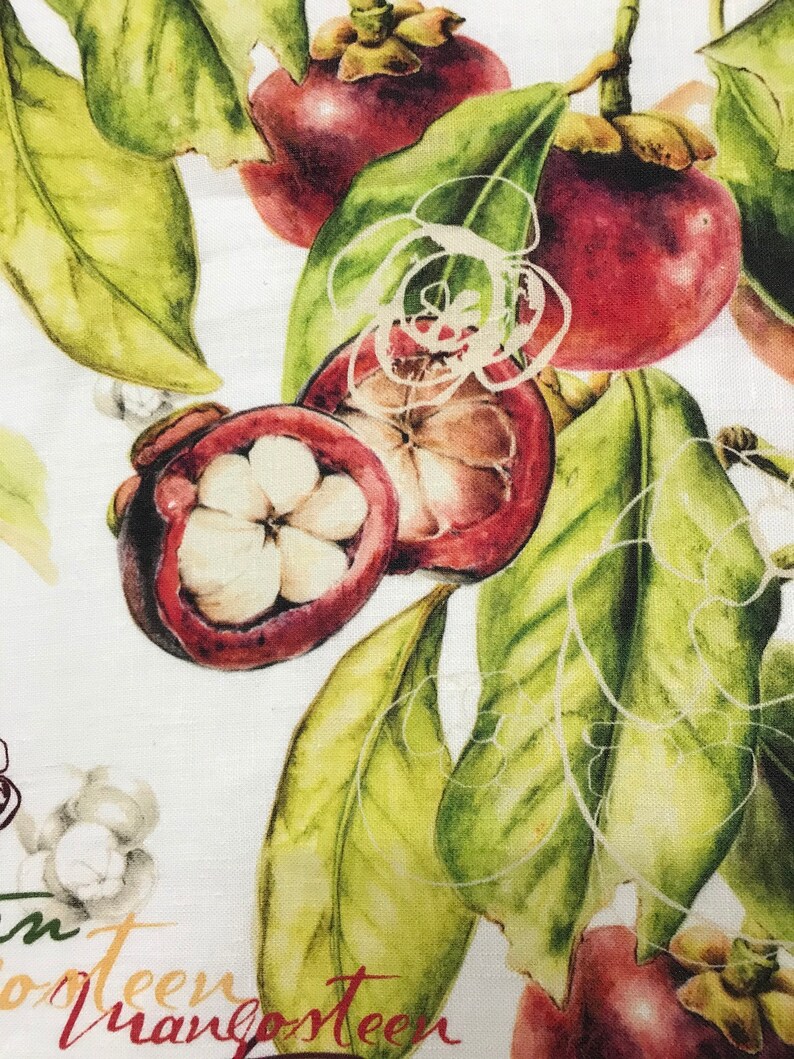 May include: A watercolor illustration of mangosteens with green leaves on a white background. The text "mangosteen" is written in cursive at the bottom of the image.