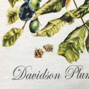 Davidson's Plum Linen Tea Towel, original botanical art of Davidsonia pruriens, Nth Queensland native rainforest superfood image 6