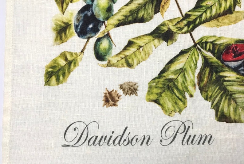 Davidson's Plum Linen Tea Towel, original botanical art of Davidsonia pruriens, Nth Queensland native rainforest superfood image 6