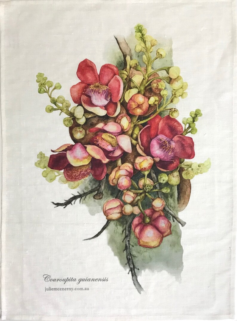 Linen Tea Towel, original botanical art by artist & seller Julie McEnerny features cannonball tree flowers image 3