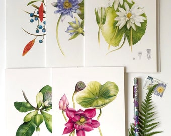 Card Set - Botanical Beauty - 5 blank greeting cards by Australian Artist Julie McEnerny