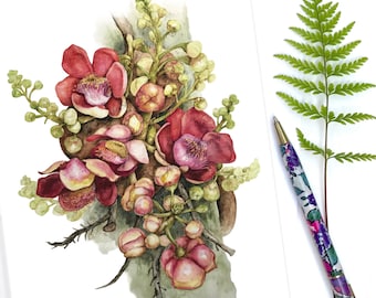 Cannonball Flowers  Greeting Card, botanical illustration Couroupita guianensis, by Australian artist, Julie McEnerny