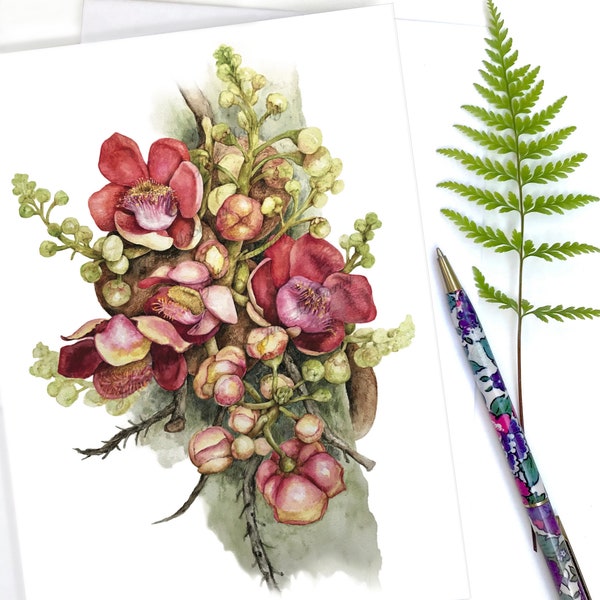 Cannonball Flowers  Greeting Card, botanical illustration Couroupita guianensis, by Australian artist, Julie McEnerny