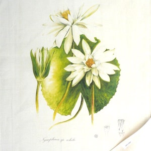 Water Lily Botanical Linen Tea Towel, Julie McEnerny image 2