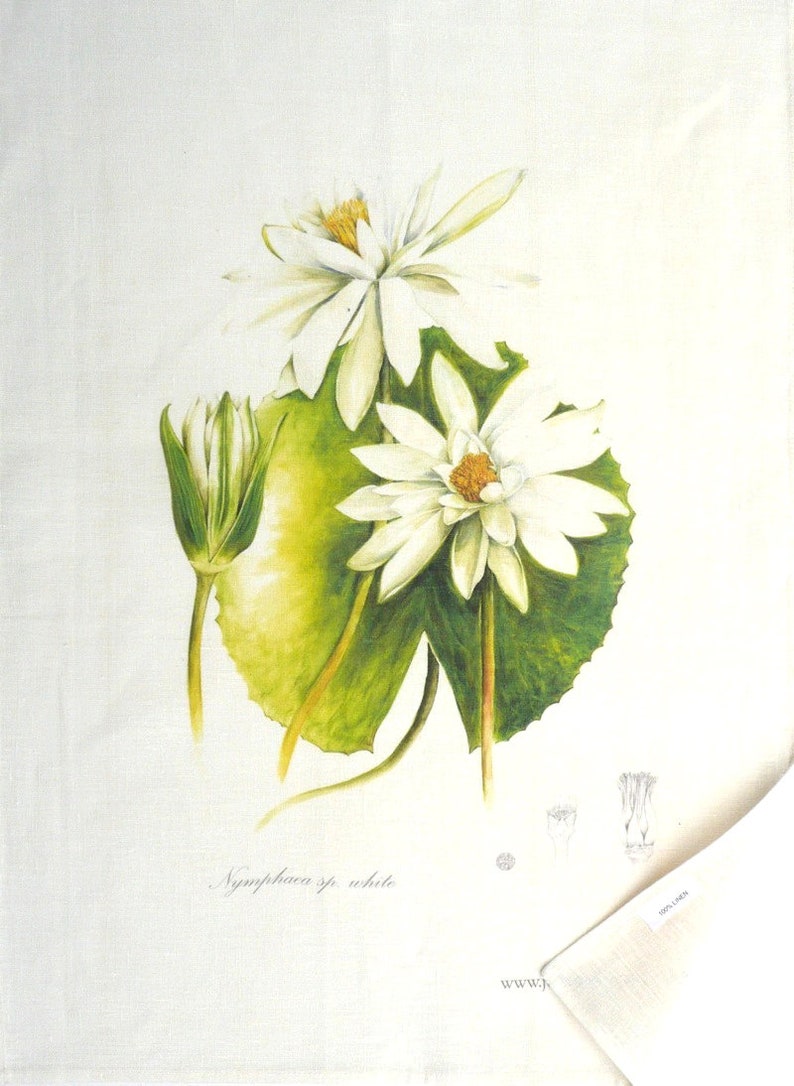 Water Lily Botanical Linen Tea Towel, Julie McEnerny image 2