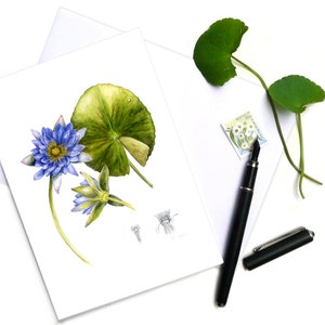 Blue Water Lily Botanical Card featuring original botanical illustration by Australian artist, Julie McEnerny.