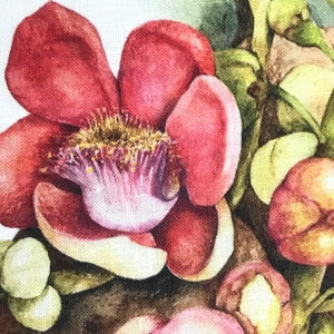 Linen Tea Towel, original botanical art by artist & seller Julie McEnerny features cannonball tree flowers image 4