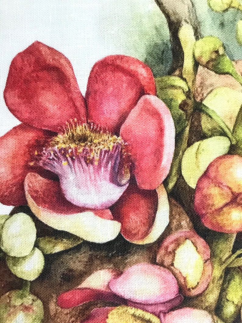 Linen Tea Towel, original botanical art by artist & seller Julie McEnerny features cannonball tree flowers image 4