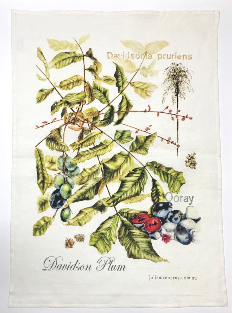 Davidson's Plum Linen Tea Towel, original botanical art of Davidsonia pruriens, Nth Queensland native rainforest superfood image 2