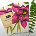 tinaparkerart reviewed Linen Tea Towel Featuring Original  Botanical Art, Pink Lotus by Australian Artist, Julie McEnerny