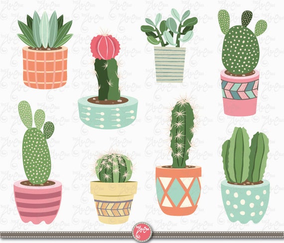 Cactus clipart png images