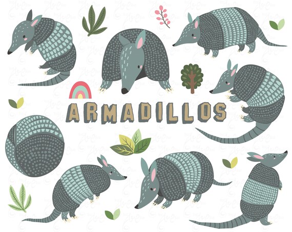 Cute Armadillos clipart, Cute animal, Armadillos, Mammals, Forest animal, Little animal, Baby shower, Nursery art. 19 PNG 300 dpi. Am044 Il_570xn