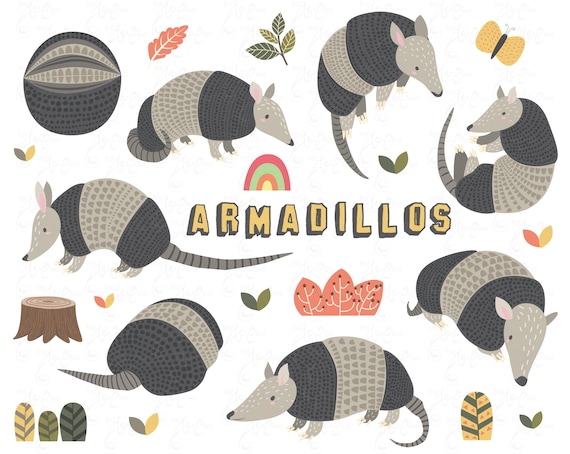 Armadillos clipart, little animal, cute animal, armadillos, mammals, baby shower, forest animal, nursery art. 19 PNG 300 dpi. Am045 Il_570xn