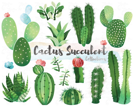 Download Watercolor Cactus Cactus Clipart Succulent Clipart Cacti Etsy