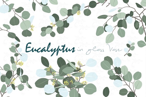 Download Eucalyptus Branch Clipart Eucalyptus Glass Vase Mason Jar Green Leaf Foliage Artificial Plants Wedding 4 Svg 30 Png 300 Dpi Fw018 By Yenzarthaut Catch My Party