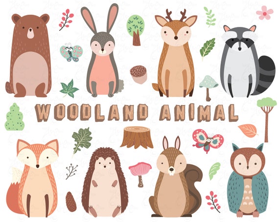 Download Woodland Animal Clipart Cute Woodland Animal Etsy