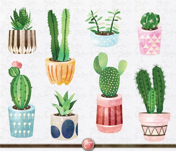 Cactus Clip Art Cactus Pack Watercolor Cactus Succulent Clipart Cacti Cactuses Pots Watercolor Clipart Tribal Cactus Summer Ct001 By Yenzarthaut Catch My Party