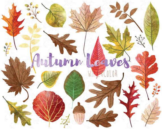 Autumn Leaves Watercolor Autumn Watercolor Leave Watercolor Etsy