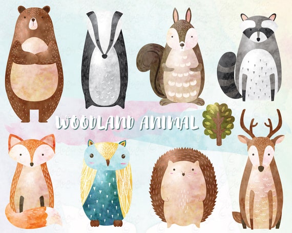 Watercolor Woodland animal "WOODLAND ANIMAL"clip art, Nursery Decor, Cute Animal, Watercolor, Forest, Bear, Fox, Owl, Hedgehog. Am033 Il_570xn
