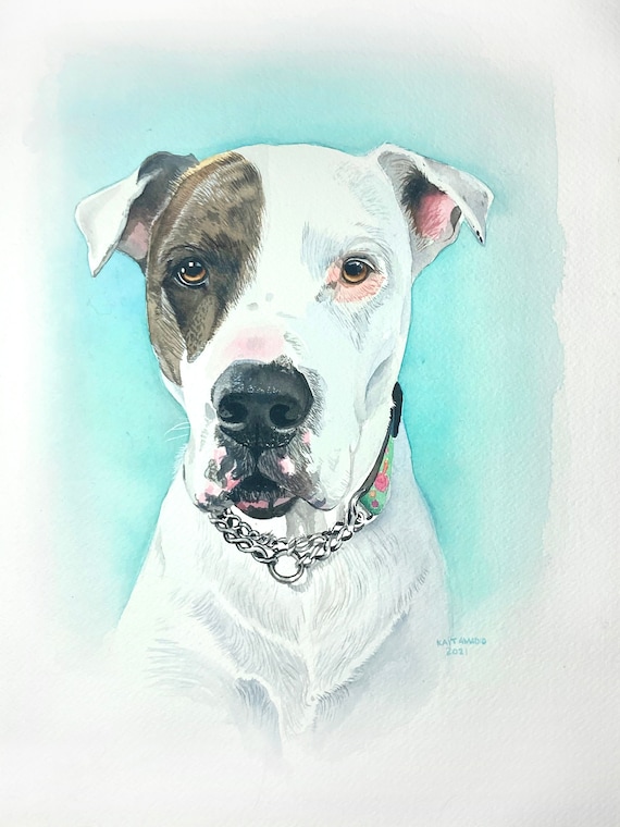 犬の水彩画 水彩 犬 画家志望の青年が描いた 犬の水彩画 水彩画LIVE 水彩で
