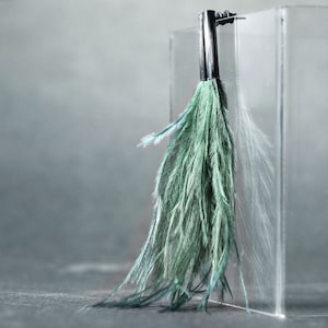 Könnte beinhalten: Ein Paar Ohrringe mit einem langen, gefiederten Quastenanhänger in hellgrün. Die Ohrringe bestehen aus einem schwarzen Metallstecker und einem schwarzen Metallhaken.