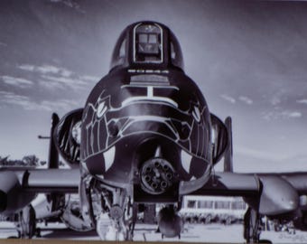 Snake A-10 Thunderbolt II