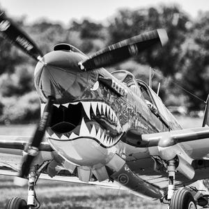 P-40 Tomahawk - Jackie C -Metal Print