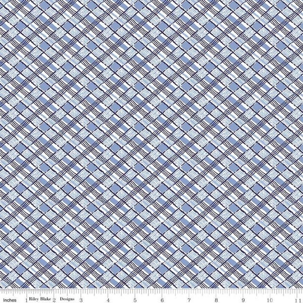 Blue Plaid Fabric, Set Sail America fabric, Riley Blake Designs