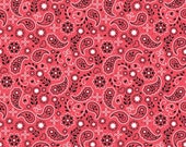 Il_170x135