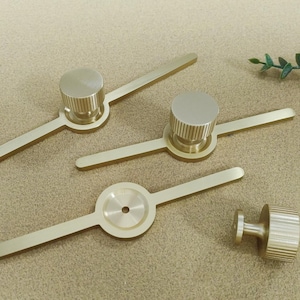 Pu&ograve; includere: Quattro pomelli e maniglie per mobili color ottone. I pomelli hanno una forma cilindrica con dettagli a coste e le maniglie hanno un design lineare. L'hardware &egrave; disposto su una superficie dai toni neutri.