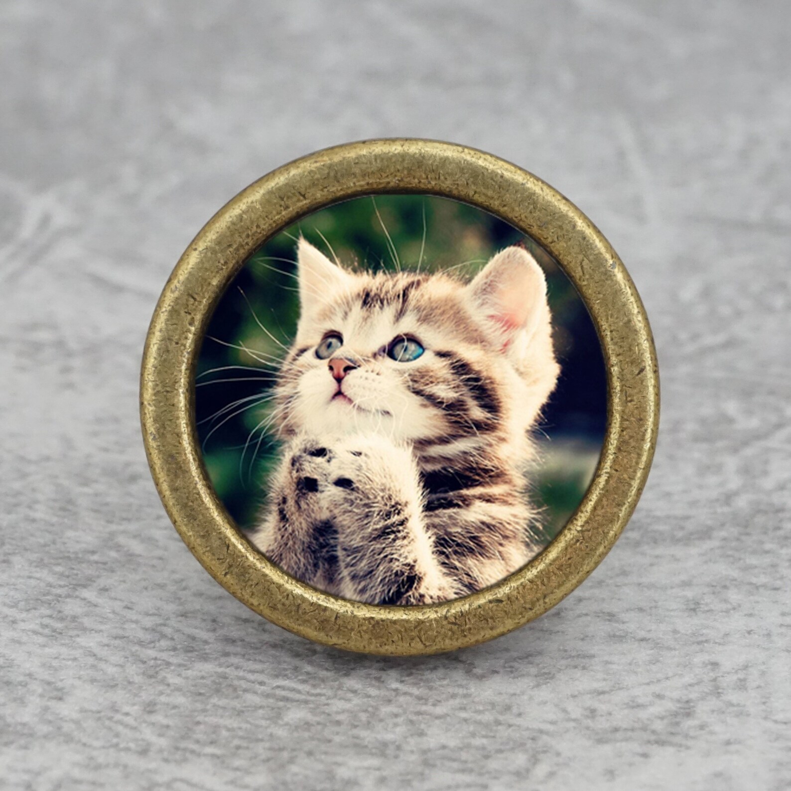 Cat Drawer Knobs Pulls Handles / Kitchen Knobs Etsy