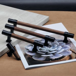May include: Four cabinet pulls with dark brown wooden handles and black metal ends. The pulls are displayed on a magazine with a succulent plant image and a light-coloured wooden surface. Each pull measures approximately 15 cm in length.